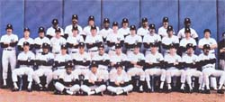 1978 New York Yankees